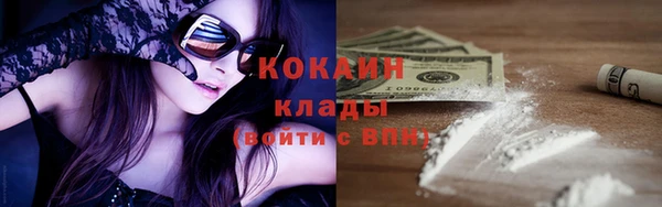 гидра Богородицк