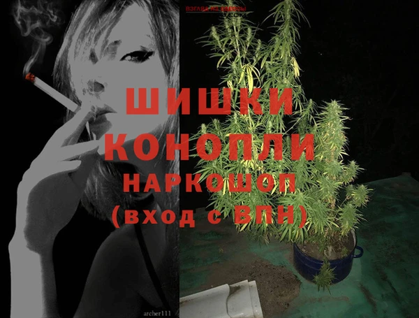 гидра Богородицк