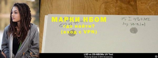 гидра Богородицк