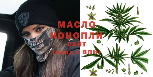 гидра Богородицк