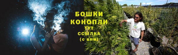дживик Богородск