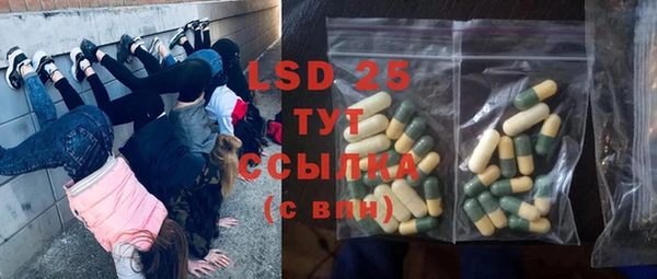 гидра Богородицк