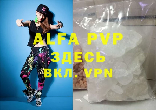 гидра Богородицк