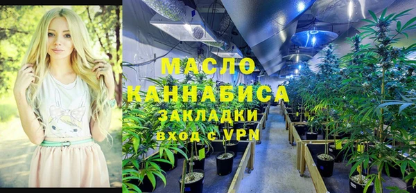 гидра Богородицк