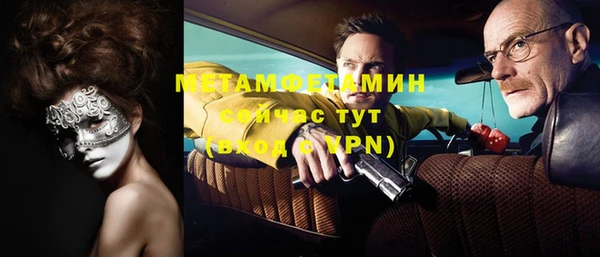 гидра Богородицк