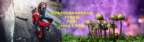 гидра Богородицк