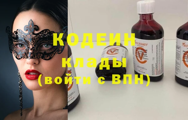 дживик Богородск