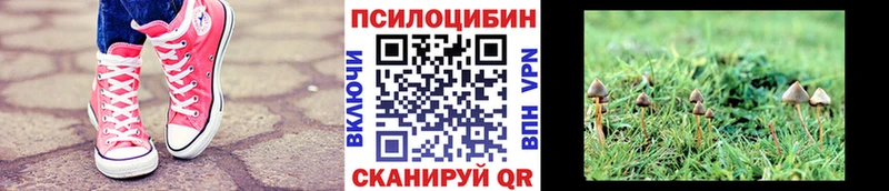 Купить где  Троицк  Псилоцибиновые грибы MAGIC MUSHROOMS 